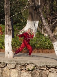 Praticant du taichi